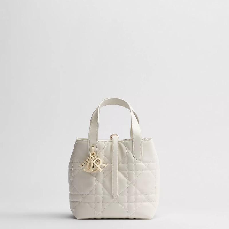 Dior Toujours Vertical Tote Bag Small