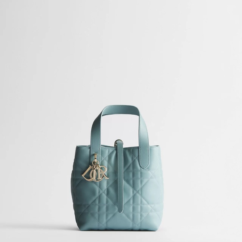 Dior Toujours Vertical Tote Bag Small