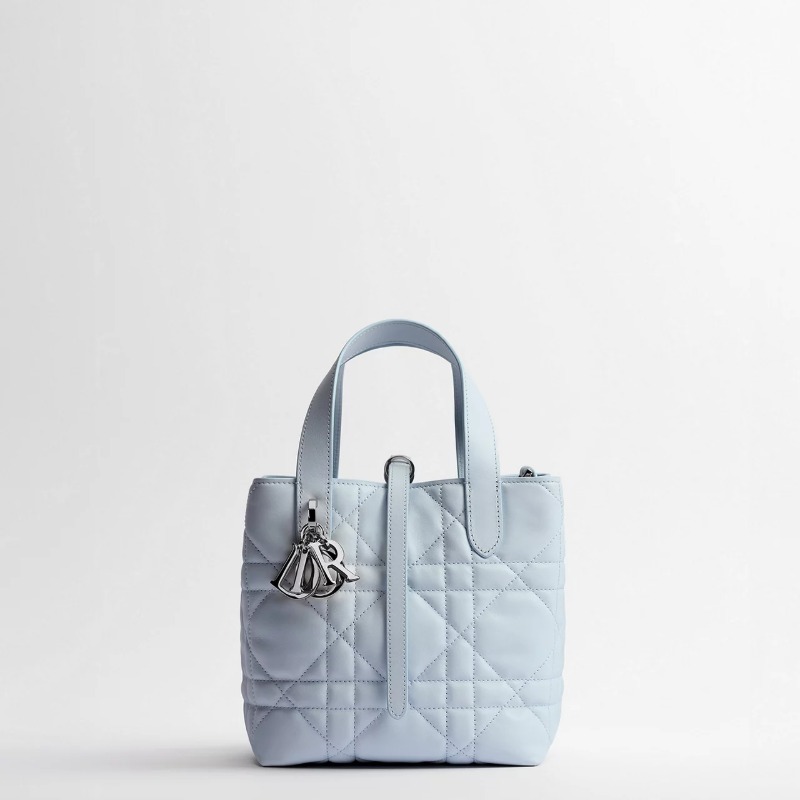 Dior Toujours Vertical Tote Bag Small