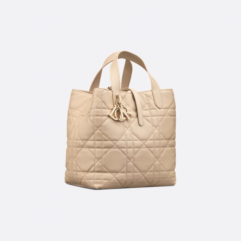 Dior Medium Dior Toujours Vertical Tote Bag