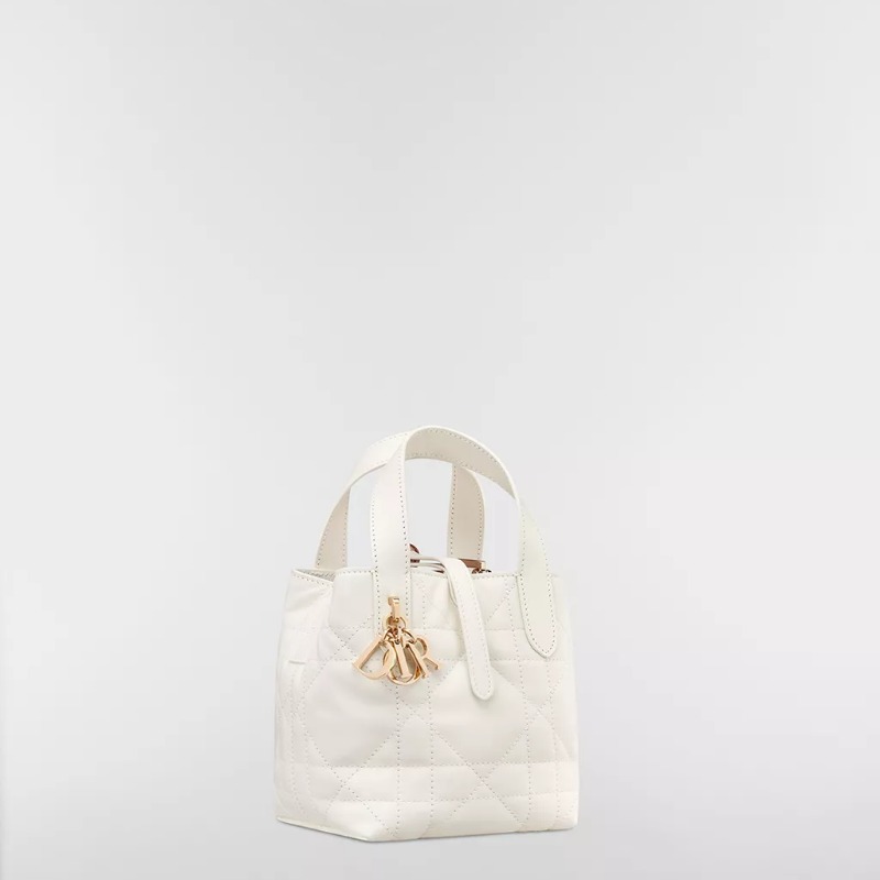 Dior Toujours Vertical Tote Bag Nano