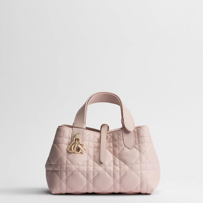 Dior Small Dior Toujours Bag