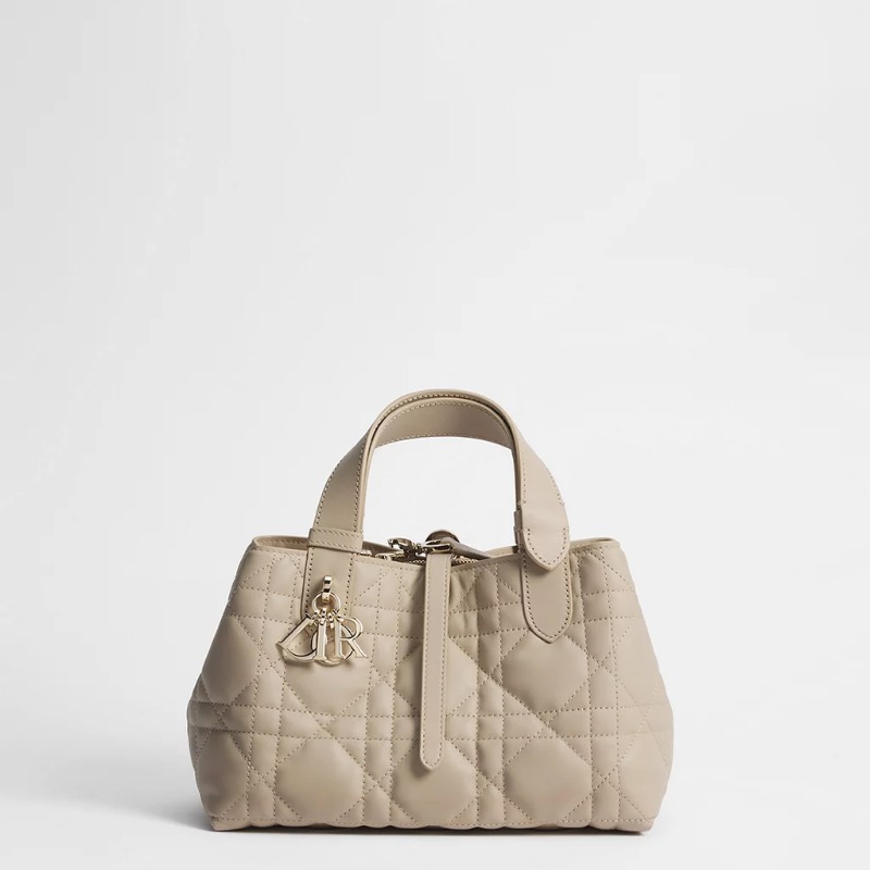 Dior Small Dior Toujours Bag
