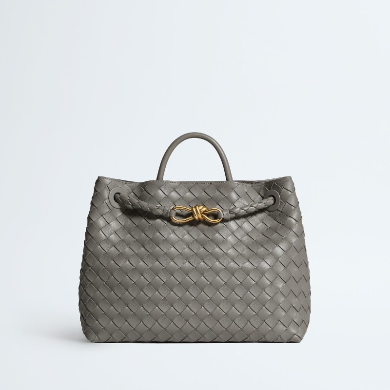 Bottega Veneta Medium Andiamo
