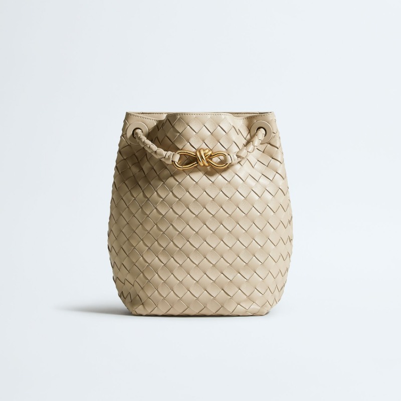 Bottega Veneta Small Andiamo Bucket