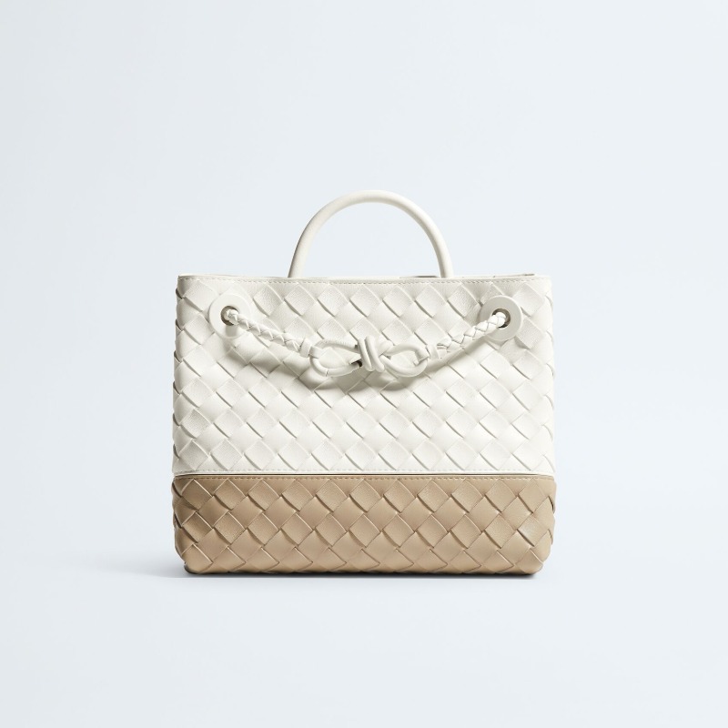 Bottega Veneta Small Andiamo