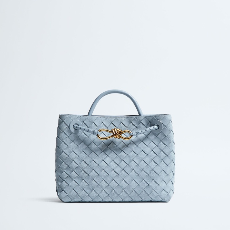 Bottega Veneta Small Andiamo