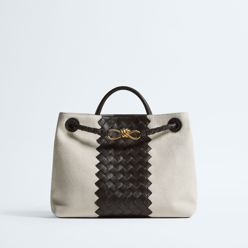 Bottega Veneta Medium Andiamo